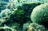 2009-09-07 10-35-01Li